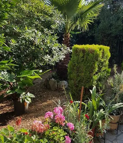 Epi * Lourdata (Kefalonia)