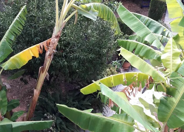 Epi Lourdata (Kefalonia)