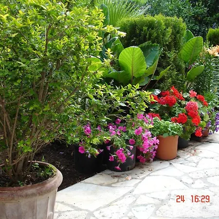 Epi Apartamento