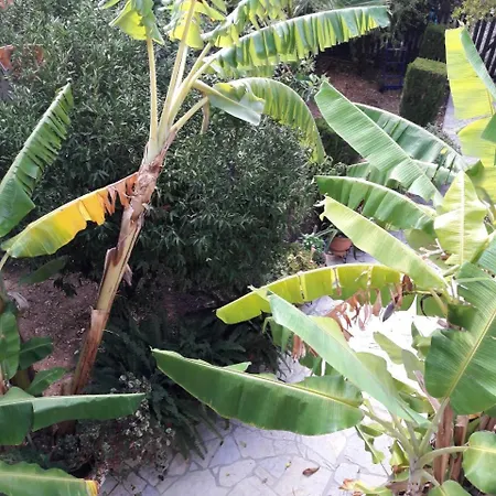 Epi Lourdata (Kefalonia)